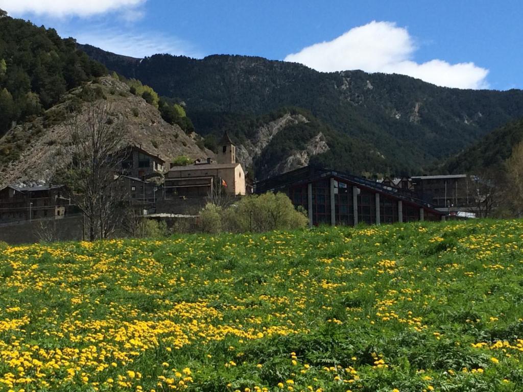 Hotel Ordino Oda fotoğraf